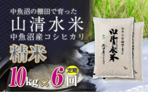 【定期便／全6回】精米10kg　新潟県魚沼産コシヒカリ「山清水米」十日町市 米