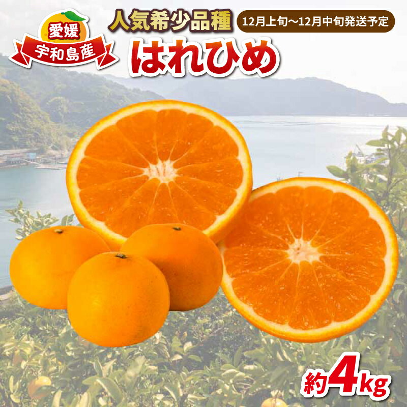 【ふるさと納税】 愛媛みかん はれひめ 4kg 家庭用みかん 協徳ガーデン 瀬戸の晴れ姫 晴姫 蜜柑 mikan 吉田みかん 愛媛みかん 愛媛ミカン 愛媛蜜柑 愛媛県産みかん 果物 くだもの 柑橘 フルーツ 希少 品種 数量限定 産地直送 農家直送 国産 愛媛 宇和島 B012-178001