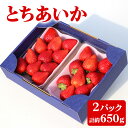 【ふるさと納税】[先行予約／数量限定]「とちあいか 2パック」計約650g 贈答用化粧箱入り 約4人分｜いちご イチゴ 苺 果物 日光産 栃木県産 フルーツ 期間限定 [0225]