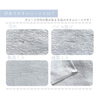 ふるさと納税 泉佐野市 【訳あり】《日本製》ムコタオル タオルシーツ 1枚 010B1509 |  | 01