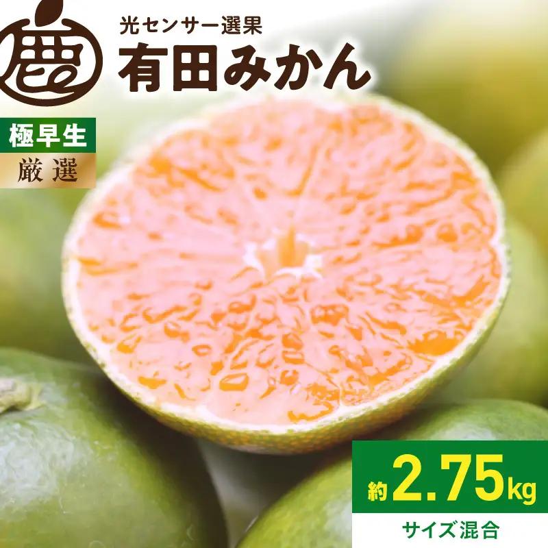 《2026年9月下旬～11月中旬頃に順次発送》【2026年先行予約】厳選 極早生有田みかん約2.5kg+250g（傷み補償分）ゆら早生みかん【YN26・ゆら早生】【光センサー選果】_ZH7039