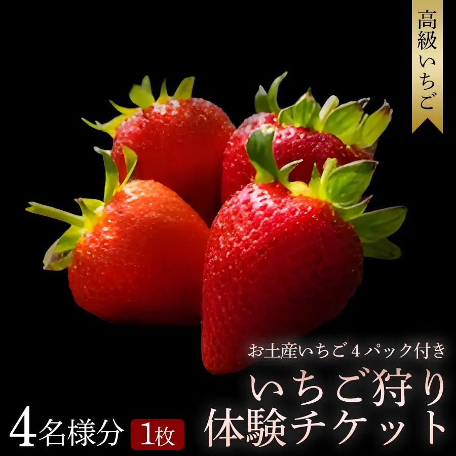 【体験】 【開催期間 2027年1月1日～5月7日】 オリジナルいちごと人気ブランドいちごの食べ比べ いちご狩り体験チケット ( 4名様分) ＋お土産いちご4パック付き【maato009】