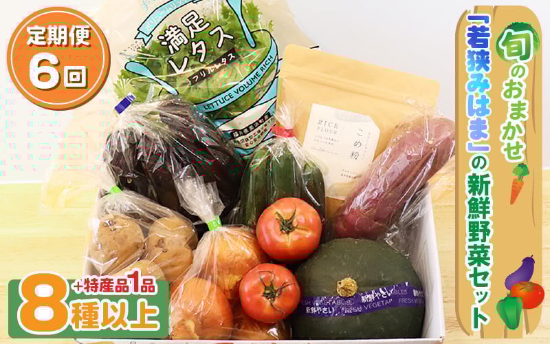 
            定期便 《6ヶ月連続お届け》 旬のおまかせ 「若狭みはま」の新鮮野菜セット 8種以上＋特産品1品【ふるさと納税 春野菜 夏野菜 秋野菜 冬野菜  定期便 定期 やさい 野菜 セット 詰合せ 大容量 産地直送 旬 新鮮 採れたて おススメ 人気 】  [m66-g001]
          