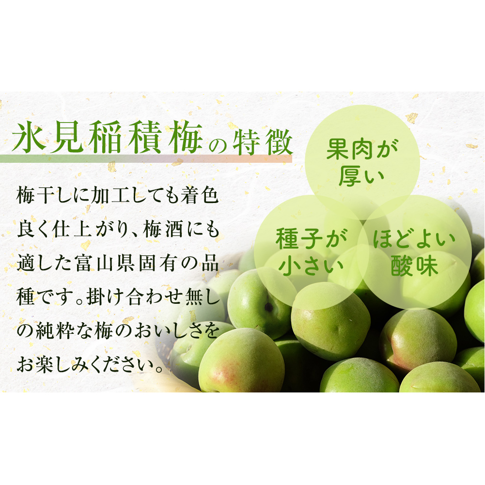 梅干し お米（10kg）付き！｜　富山県 氷見市 固定種 稲積梅 梅 梅干し 手作り 果実 昔ながら 無添加 酸っぱい 肉厚 お米 セット GI認証 GI登録 稲積梅_イメージ5