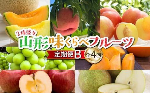 ≪先行予約令和8年度発送≫ 2種盛り★山形味くらべフルーツ定期便 全4回 FSY-2651