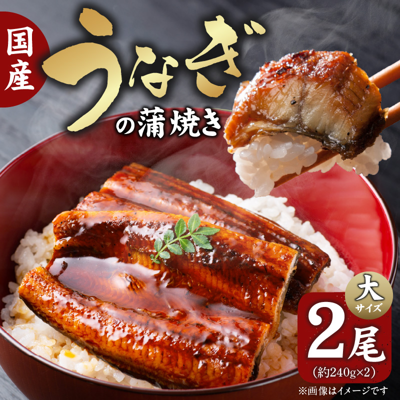 国産うなぎの蒲焼き　大サイズ×2尾 T08106