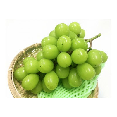 【ふるさと納税】長野県産　北信州　シャインマスカット　産地直送　ハウスもの　10kg(12～17房)【配送不可地域：離島】【1534999】