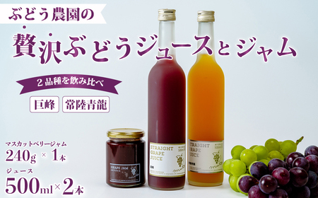 ぶどうジュース2本 (巨峰･常陸青龍)＆旬ジャムセット ジュース ジャム 
