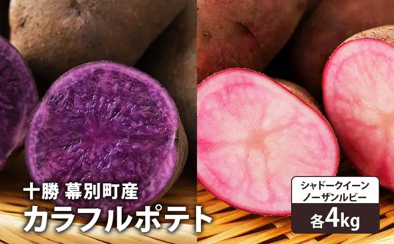 先行予約 カラフルポテト 2種×4kg シャドークイーン ノーザンルビー