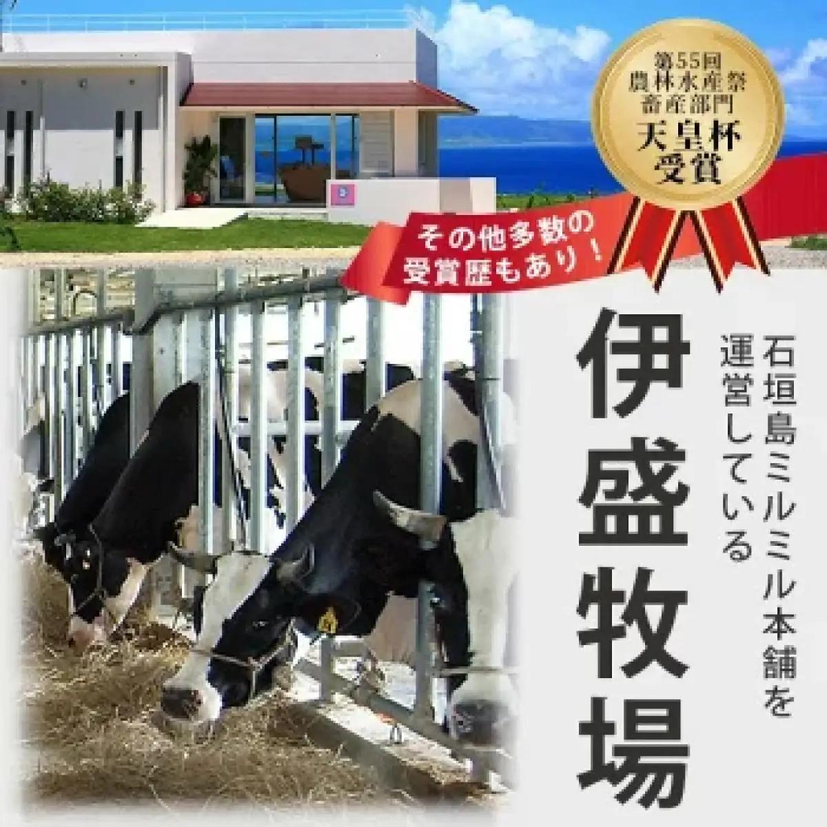 石垣島ミルミル本舗 南の島から島素材ジェラート！【定番人気セット 12個入り】（1個 132ml）　Z-7　