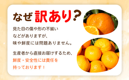 ＜fululy直送 ポンカン 訳あり 約3kg 中玉サイズ（M～2L）＞ ワケアリ サイズ混合 中玉 果物 フルーツ 蜜柑 ぽんかん 柑橘 家庭用 合同会社fululy 直送 愛媛県 西予市【常温】『