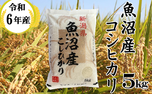 11P376BE 令和6年産 魚沼産コシヒカリ5kg（小千谷米穀）白米 精米 米 魚沼 魚沼産 新潟県 小千谷市