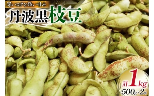 丹波黒 枝豆 さやのみ 500g 2袋 【2025年10月前半〜10月後半配送】  [米谷 兵庫県 三田市 3d28bev600000] 枝豆 えだまめ 丹波 黒枝豆 黒豆 国産 野菜 おつまみ