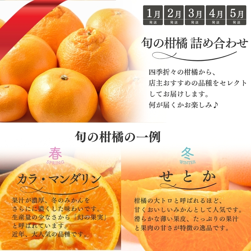【全10回】 柑橘定期便 石本果樹園 店主おすすめの柑橘セットを毎月お届け！【tkb509】