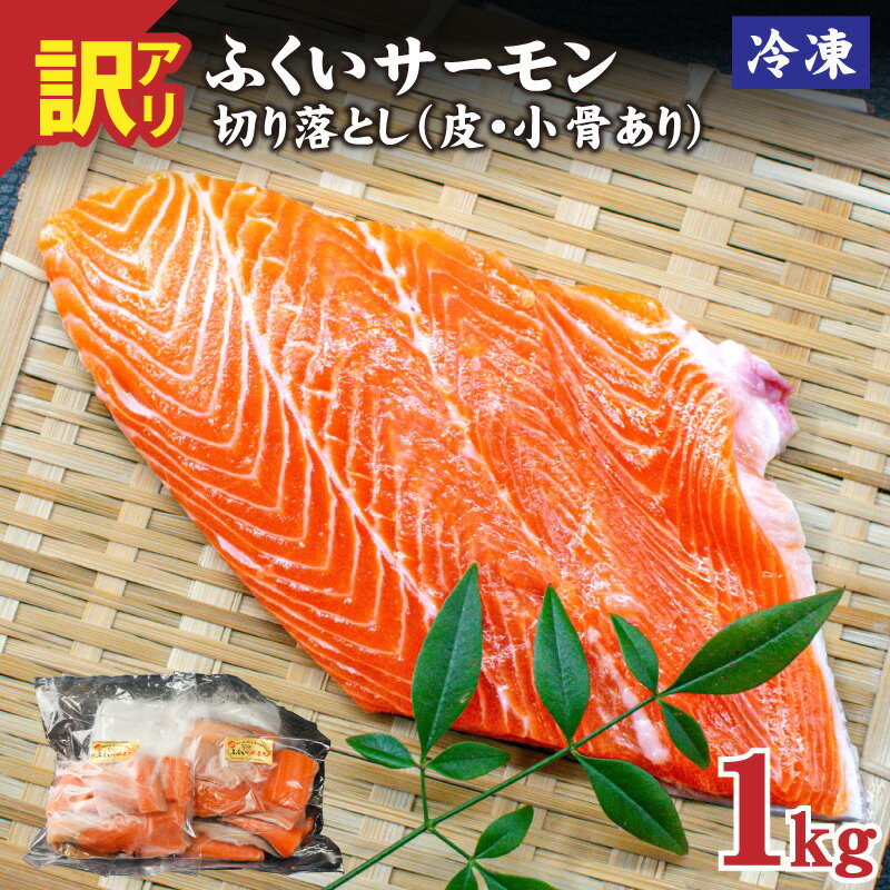 【ふるさと納税】【楽天限定】【訳あり】国産 ふくいサーモン切落し 1kg（約500g×2P）（皮付き・小骨あり）[A-065019] / 1キロ サーモン サケ しゃけ フィレ フィーレ 切りおとし 切り落し 切落とし 真空 訳あり 500グラム 福井県 福井市 鮭 切り身 切身 冷凍 送料無料