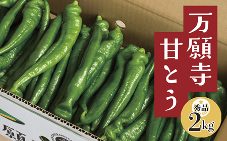 【2025年夏発送分】 京の伝統野菜 「万願寺甘とう」 秀品 1箱 2kg ： 甘い！美味い！辛くない！舞鶴発祥京のブランド産品 京野菜 伝統野菜 夏野菜 箱入り野菜 野菜 2kg 舞鶴産野菜 京都の野菜 京野菜