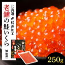 【ふるさと納税】しぶやの鮭いくら醤油漬け　250g AK076いくら イクラ 魚卵 醤油漬け しょうゆ漬 海産物 北海道ふるさと納税 白老 ふるさと納税 北海道 夏ギフト おせち