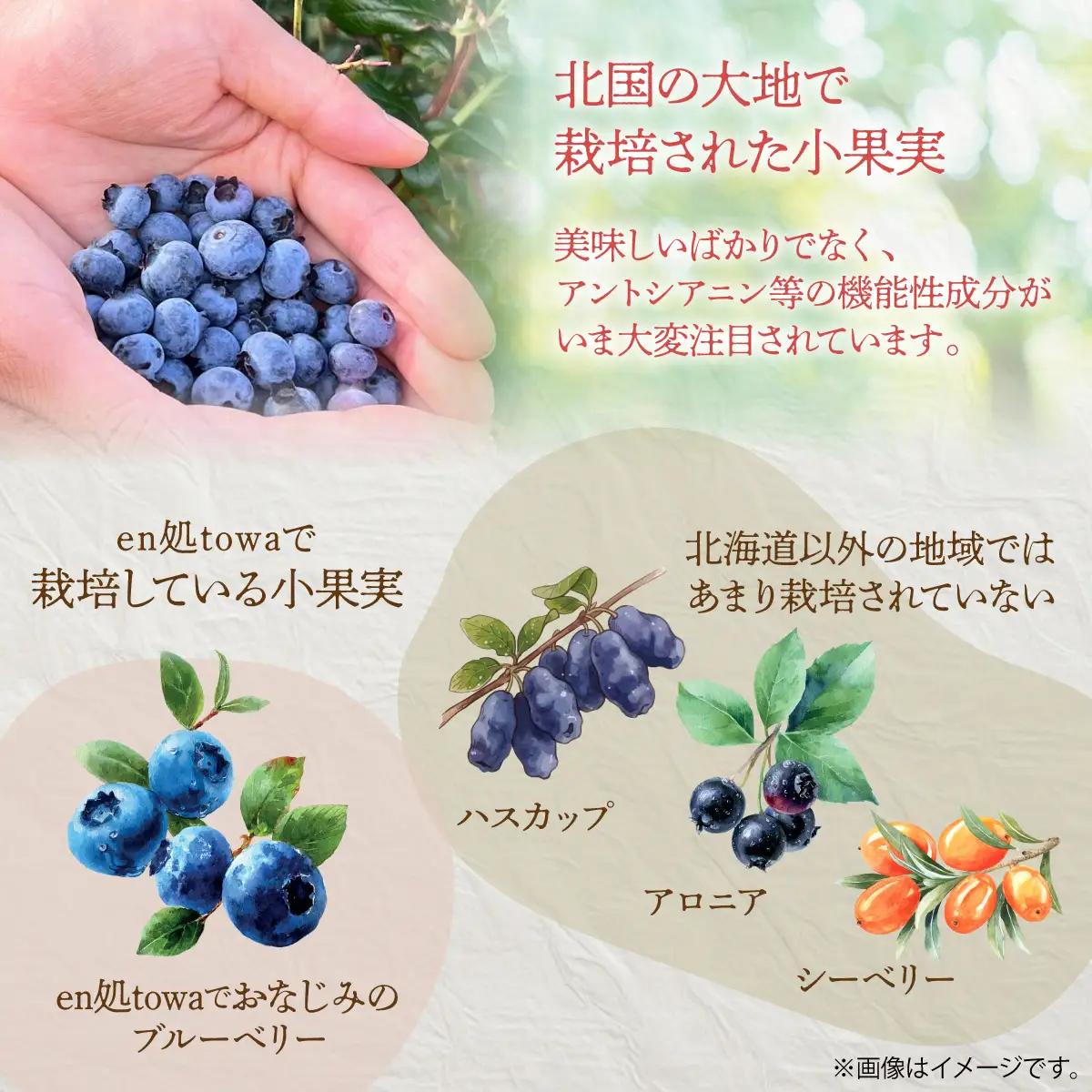 季節のコンフィチュール＆フルーツソースセット KYSD001