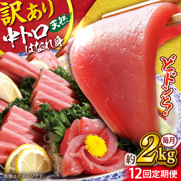 【全12回定期便】【訳あり】天然 まぐろ 中トロ はなれ身（約2kg）【横須賀商工会議所 おもてなしギフト事務局（本まぐろ直売所）】 [AKAK067]