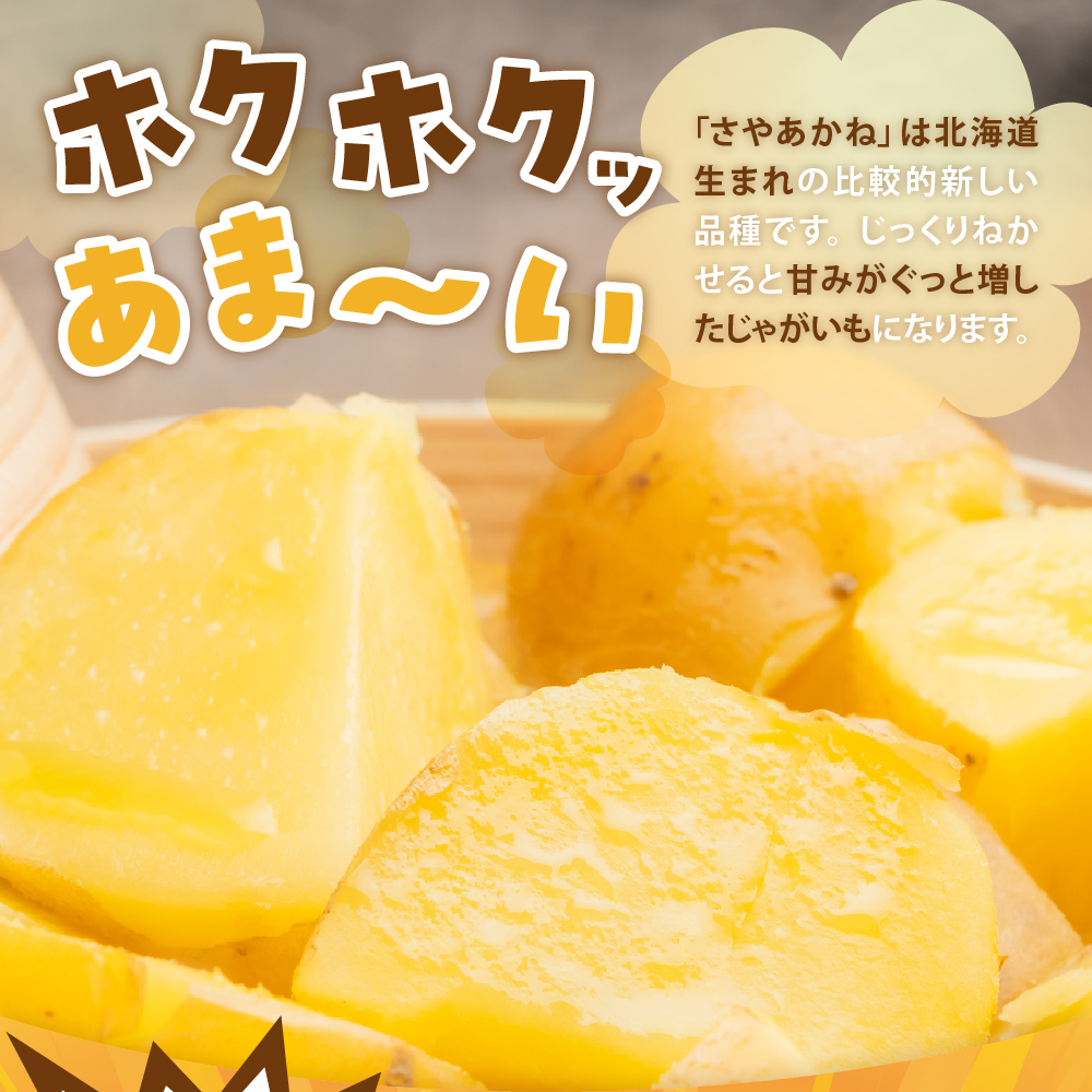 【先行予約】【2024年12月より配送】北海道十勝芽室町 さやあかね  Lサイズ 10kg me049-004c-24