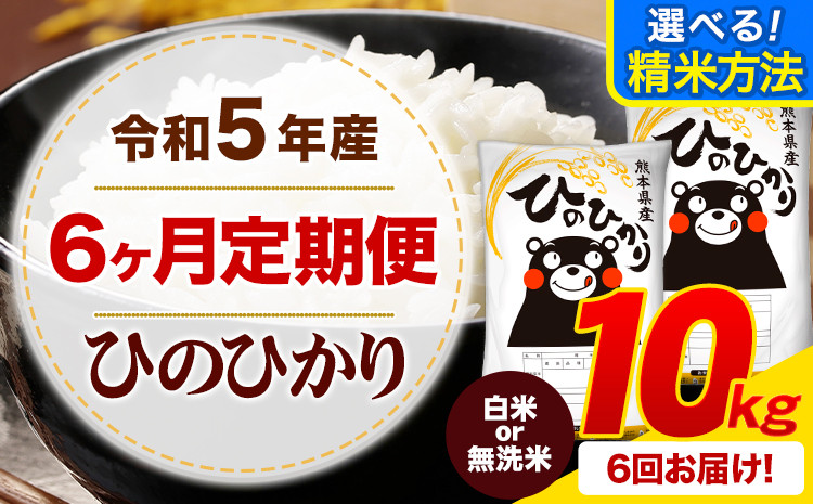 
令和5年産 ひのひかり 【6ヶ月定期便】 白米 or 無洗米 《お申込み月の翌月から出荷開始》10kg (5kg×2袋) 計6回お届け 白米 無洗米 熊本県産 単一原料米 ひの 熊本県 御船町
