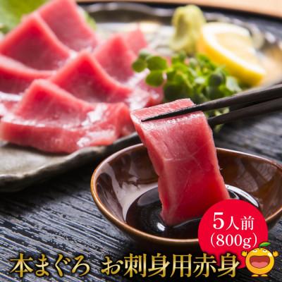 ふるさと納税 津久見市 本まぐろお刺身用赤身5人前(800g)