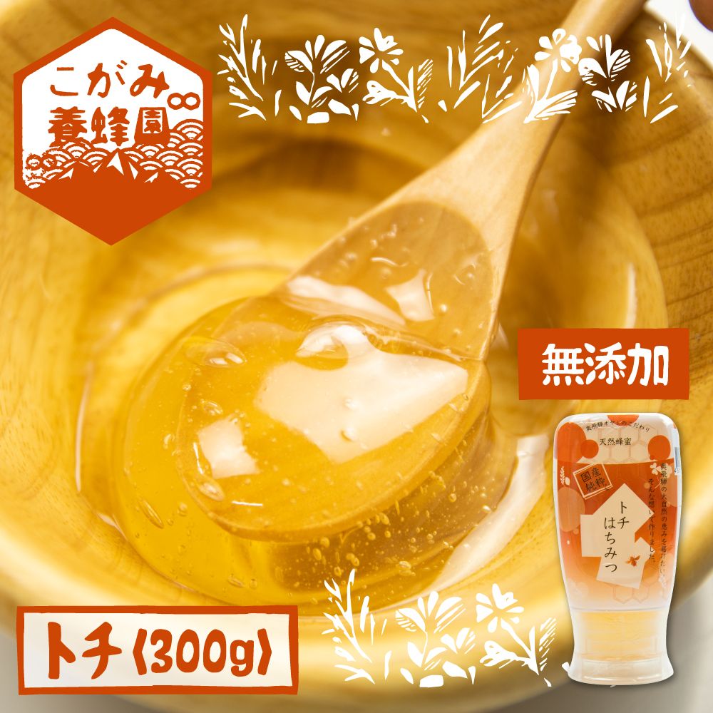 【ふるさと納税】飛騨産 生蜂蜜 トチ蜜 300g 国産無添加 とち蜜 はちみつ ギフト ハニー 非加熱 《hida0307》