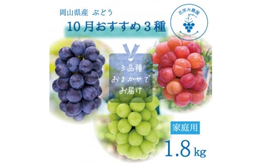 ＜2026年先行受付＞岡山　花笑み農園の『10月おすすめ3種』家庭用　1.8kg(3房)3M-2L家【1694423】