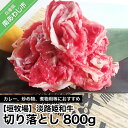 【ふるさと納税】 ふるさと納税 牛肉 切り落とし 【数量限定】 垣牧場直売「淡路姫和牛」800g