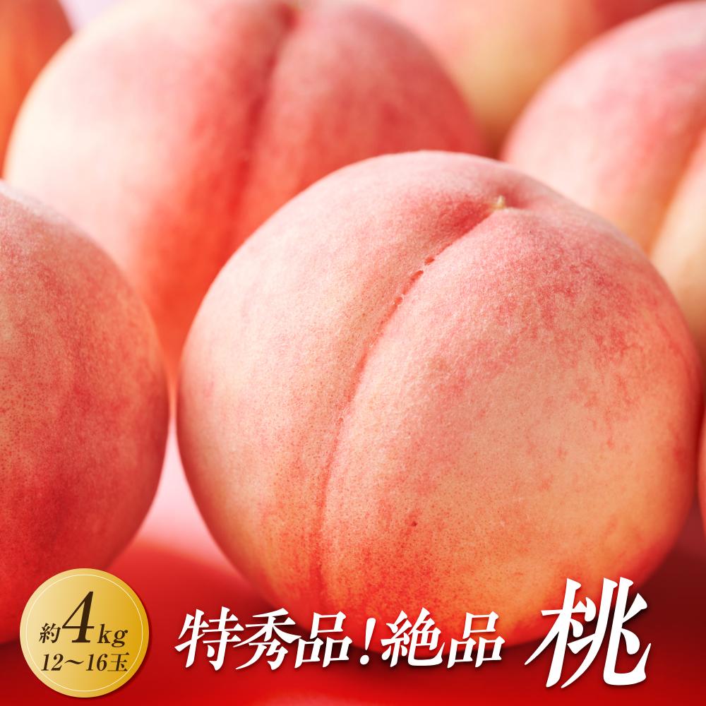【ふるさと納税】【2025年6月下旬より順次発送】特秀品！絶品「桃」約4kg(12～16玉) | フルーツ 果物 くだもの 食品 人気 おすすめ 送料無料
