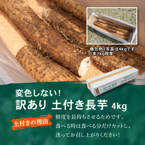 変色しない！ 訳あり 土付き 長芋 4kg 【マル庄】 ／ 長いも 長イモ ながいも 山芋 やまいも ヤマイモ 芋 いも イモ 春野菜 秋野菜 生野菜 根菜 訳あり 訳アリ わけあり ワケアリ 時短 