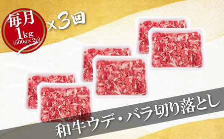 《定期便》 訳あり限定長崎県産和牛切り落とし総重量3kg(1000gを3回お届け)【佐世保食肉センター】 牛肉 和牛 切り落とし すき焼き 牛丼 訳あり 人気 訳あり 和牛 訳あり 