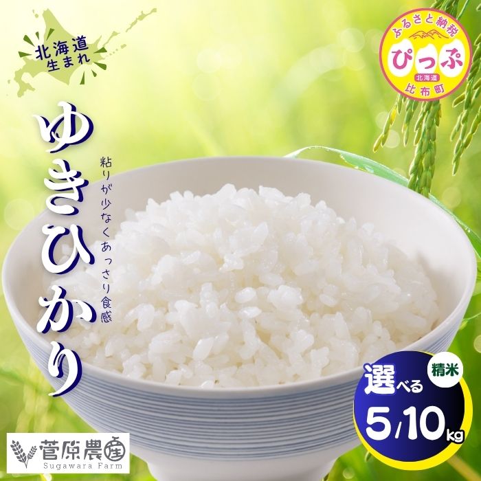【ふるさと納税】【令和8年産 新米先行受付】 ゆきひかり 精米【菅原農産】選べる容量 5kg 10kg 米 お米 北海道米 国産 白米 コメ 北海道 比布町 ぴっぷ