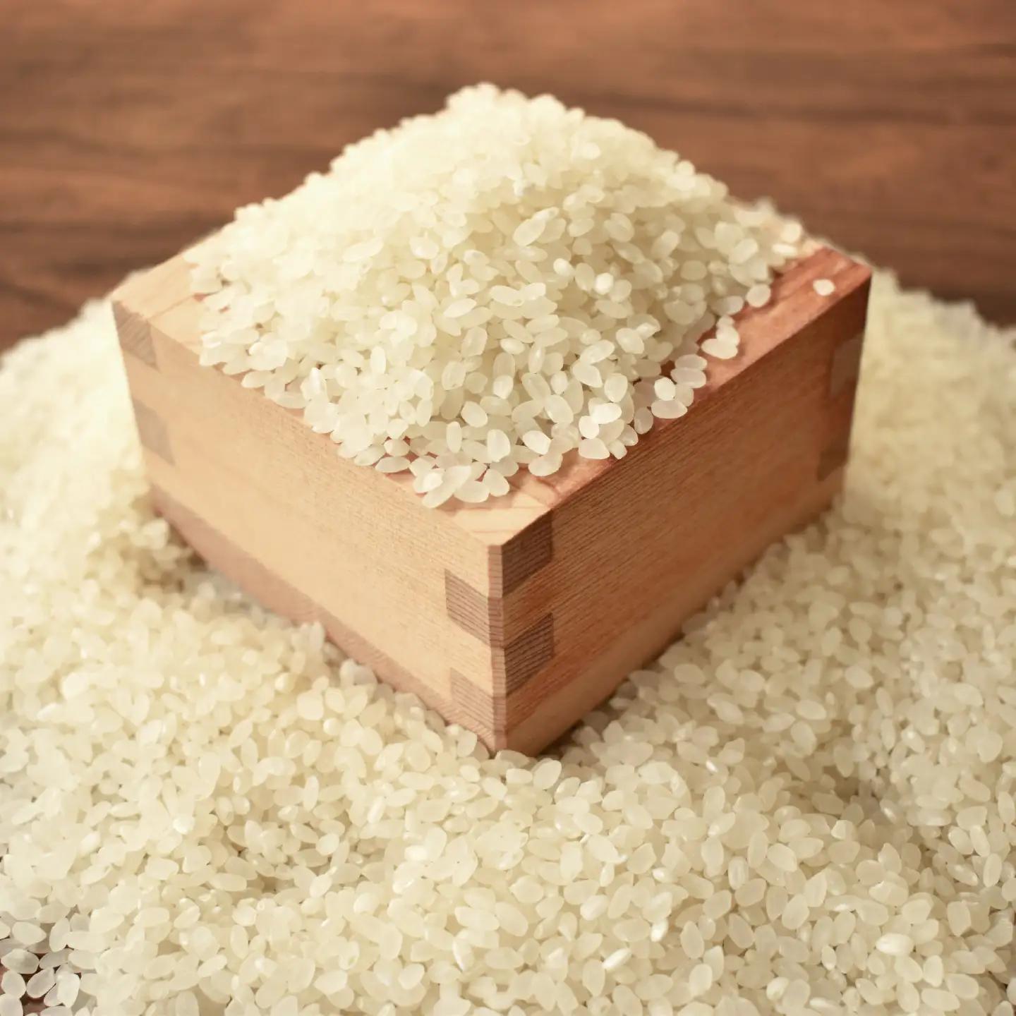 【3回定期便】《 新米先行予約 》2026年10月発送開始 長老米 10kg×3カ月連続 総量30kg 令和8年産 新米 京都 京丹波町産 米 コシヒカリ  [060YS003R]