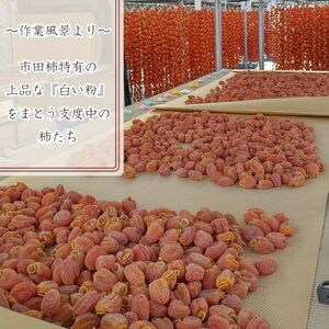 【数量限定】市田柿 2Lサイズ 500g×2袋 ＜2027年1月発送開始＞