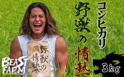 【令和8年産 新米早期予約】 コシヒカリ 3kg 選べる内容量 定期便 野獣の情熱 8月下旬より発送 国産 高知県産 白米 精米 ごはん お米 産地直送 井上農園 ビースト農園 新米コシヒカリ おすすめ 人気 ランキング 贈り物 高知県 須崎市