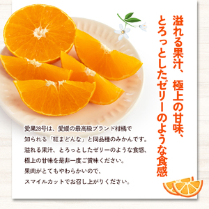 【数量限定】訳あり「愛果28号」約5kg バラ詰め 〈訳あり ワケあり ふぞろい 家庭用 愛果28号 みかん 柑橘 甘味 ゼリー 愛媛 砥部町〉