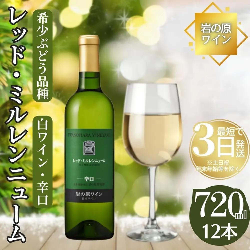 岩の原ワイン レッド・ミルレンニューム 辛口 ワイン 12本 720ml