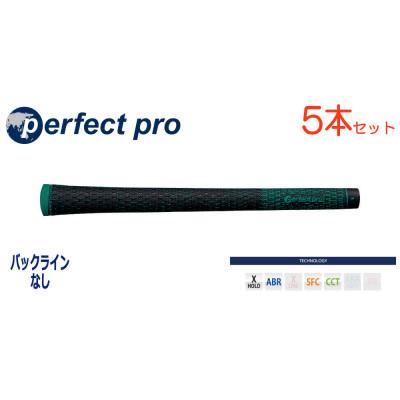 ふるさと納税 小美玉市 パーフェクトプロ　【エックスホールド　ブラックコード】Eグリーン　5本　バックライン無　グリップ