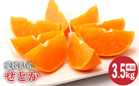 【2026年2月上旬より発送】愛媛県産 せとか 秀品 約3.5kg | ﾐｶﾝﾐｶﾝﾐｶﾝﾐｶﾝﾐｶﾝﾐｶﾝ 【OF008】