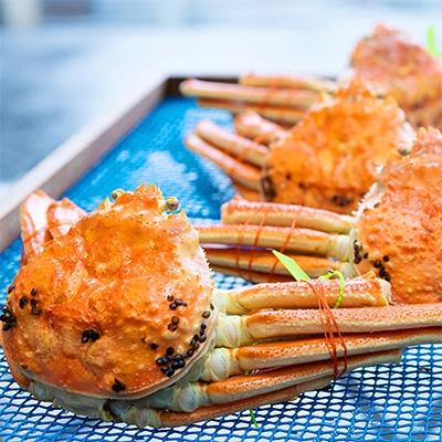 ふるさと納税 宮津市 茹で松葉蟹　特々大　2杯　(1,200g級) |  | 02