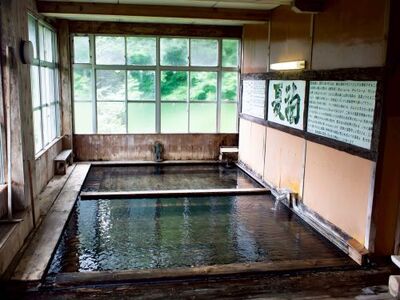 平日素泊まり宿泊券 宿泊 旅行 チケット 夏油温泉観光ホテル 大人1名 旅行券 宿泊券 ホテル 観光 国内旅行 利用券 岩手県 北上市 G0223