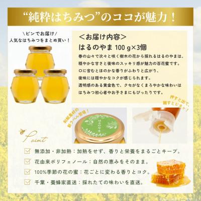 ふるさと納税 大網白里市 千葉県産「純粋はちみつ」はるのやま(百花蜜)3個 |  | 03