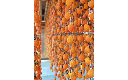 南信州産 市田柿 バラふぞろい 600g |  加工品 ドライフルーツ 果物 フルーツ 柿 市田柿 干し柿 長野県 飯田市 信州 600g