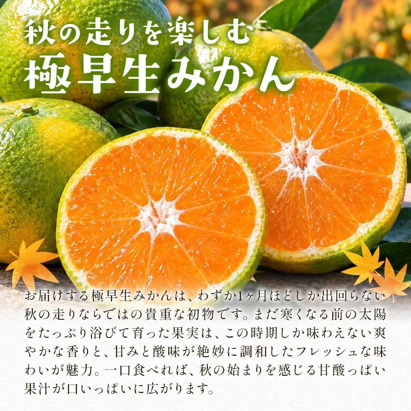 小玉 極早生みかん 5kg