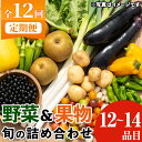 【ふるさと納税】《定期便・全12回》野菜と果物旬の詰め合わせ(12～14品目) 国産 九州産 鹿児島県産 野菜 やさい果物 くだもの フルーツ デザート 詰め合わせ お楽しみ セット 旬【鹿児島県経済農業協同組合連合会】