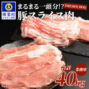 【ふるさと納税】THE HOUBOQ 豚肉【業務用】まるまる一頭分【スライス加工】 HB-100