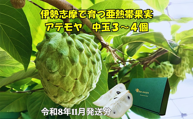 
                  【予約注文/2026年11月より発送】 アテモヤ 中玉３～４個 約1.2kg 果物 くだもの フルーツ  期間限定 季節限定 森の アイスクリーム デザート ギフト プレゼント 贈り物 贈答 贈答用 三重県 伊勢 志摩 南伊勢町
                