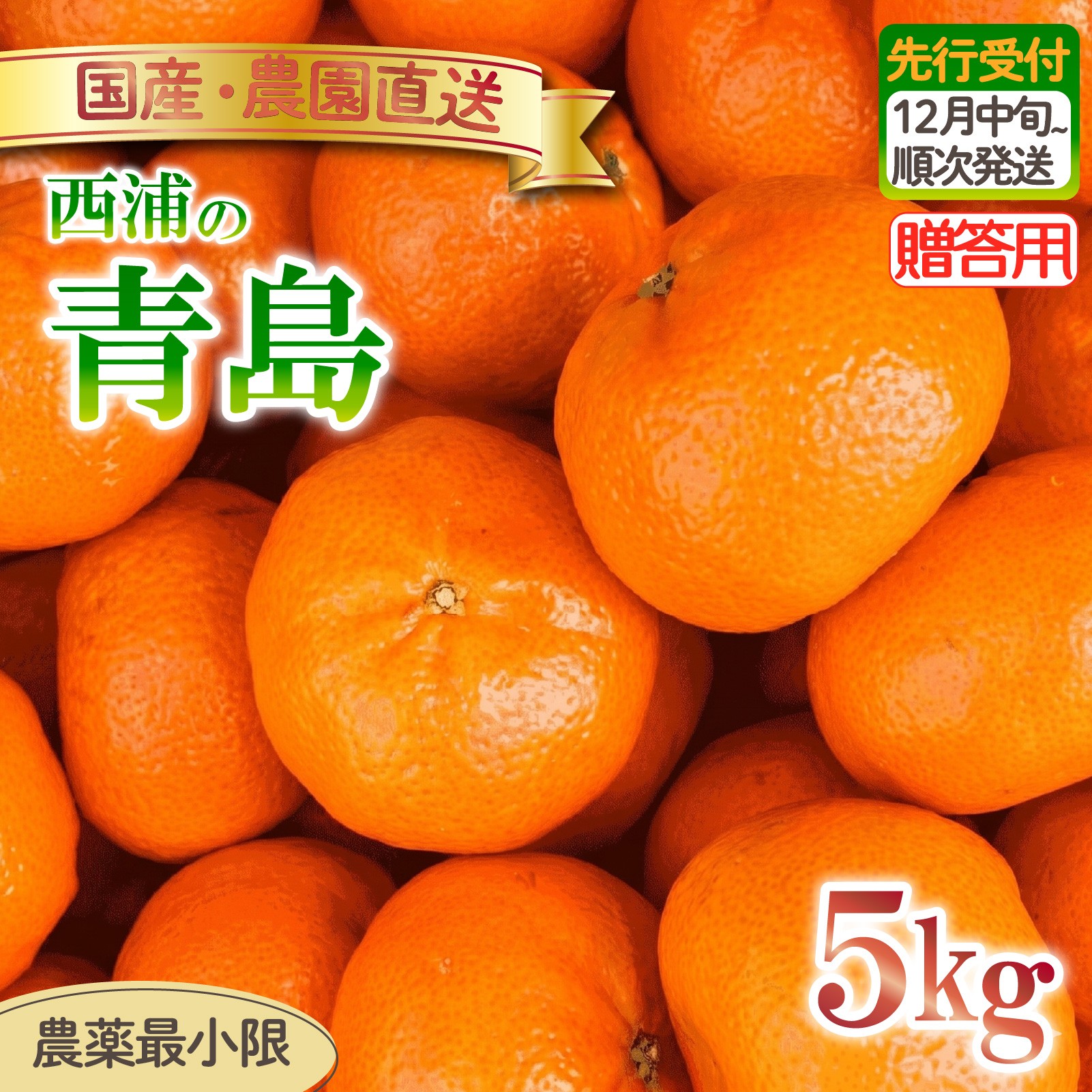 
                  青島 みかん 5kg 【贈答用】 木負観光みかん園 ミカン オレンジ 蜜柑 柑橘 フルーツ 旬 果物 国産 産地直送 季節限定 西浦 沼津市 静岡県 贈答 ギフト プレゼント 贈り物
                