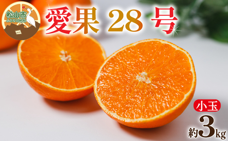 【小玉】 愛果28号 (紅まどんな と同品種) 約3kg 【2026年12月中旬頃から順次発送】 | あいか 愛果28号 紅まどんな と同品種 みかん 柑橘 アイカ 先行予約 ミカン かんきつ 果物 フルーツ おすすめ 蜜柑 送料無料 愛媛県 松山市 こうの農園【KNN007】